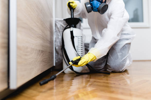 Best Pest Removal Services  in Munford, TN